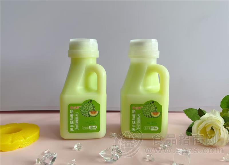 果兹鲜哈密瓜味乳饮料乳酸菌饮品258ml