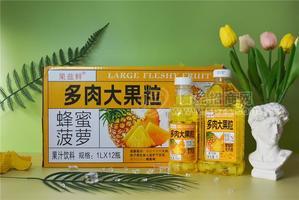 果兹鲜蜂蜜菠萝果肉大果粒1升12瓶