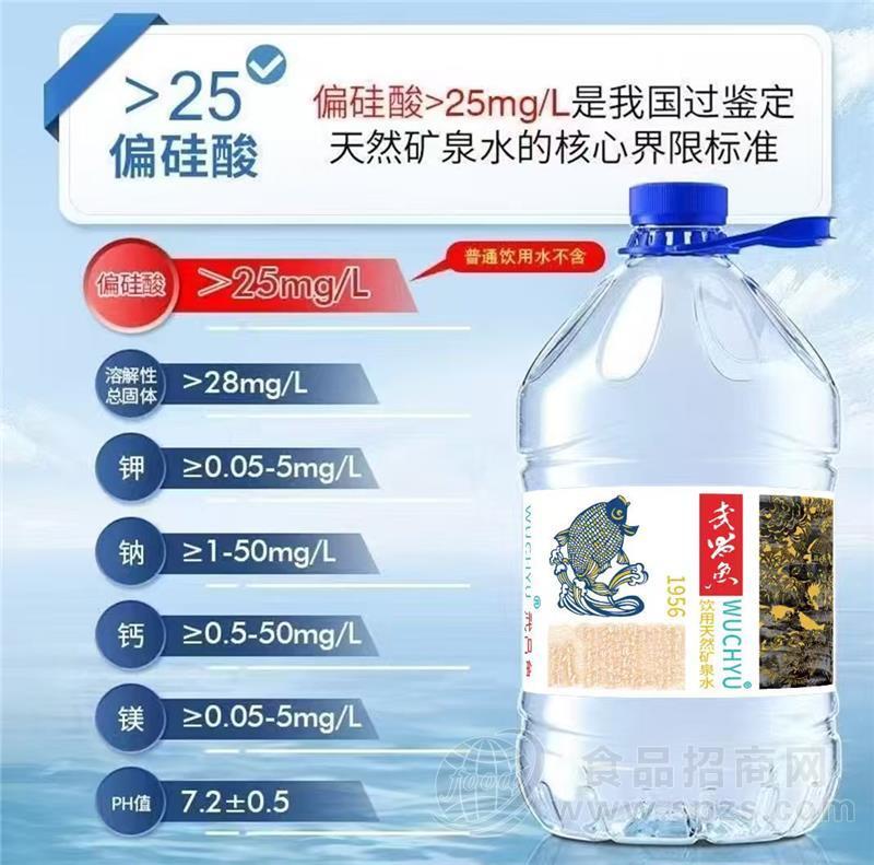 武昌鱼饮用天然矿泉水