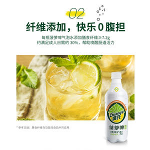廣氏菠萝啤果味汽水风味饮料480ml