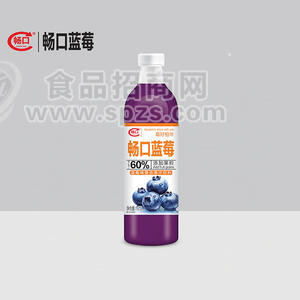 畅口蓝莓味复合果汁饮料1.25L