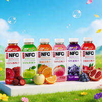 益正元NFC100%果汁饮料500ml