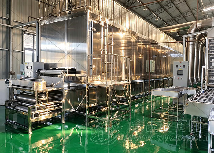 嗨吃家同款酸辣粉生产线 涂布铺浆真空除泡成套加工设备