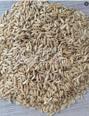 燕麦米粮食农产品