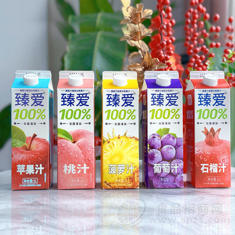 臻爱无菌灌装100%果汁饮料1L招商
