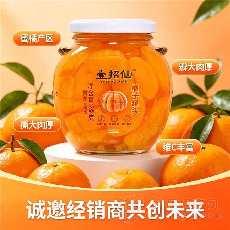 壹招仙水果罐头厂家直销招商（橘子）288g