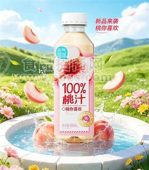 元气可可100%桃汁饮料480ml×15瓶装百分百桃汁带奖