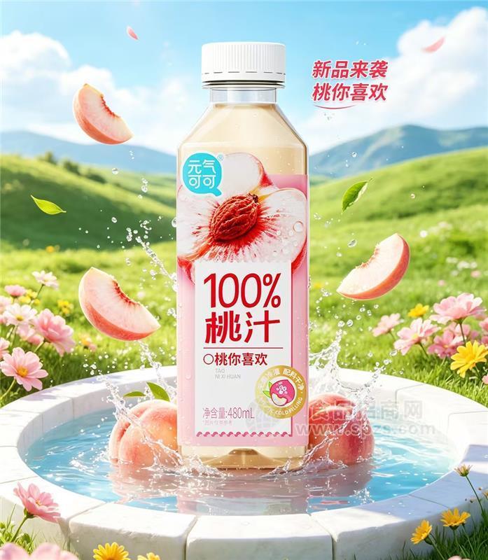 元气可可100%桃汁饮料480ml×15瓶装百分百桃汁带奖