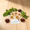 丁香薄荷益生菌软糖   OEM/ODM代加工