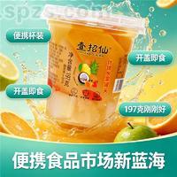 壹招仙水果罐头厂家直销招商（什锦）197g