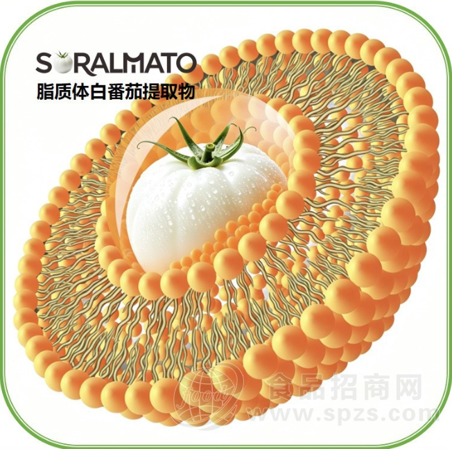 SORALMATO脂质体白番茄提取物