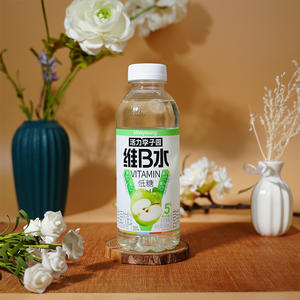 李子园青苹果味维B水维生素饮料500ml