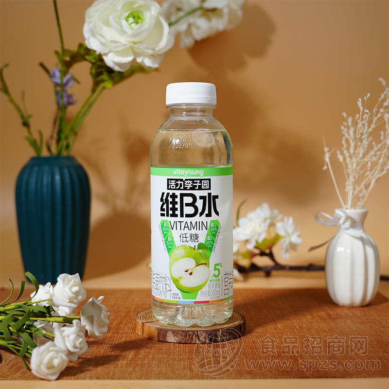 李子园青苹果味维B水维生素饮料500ml