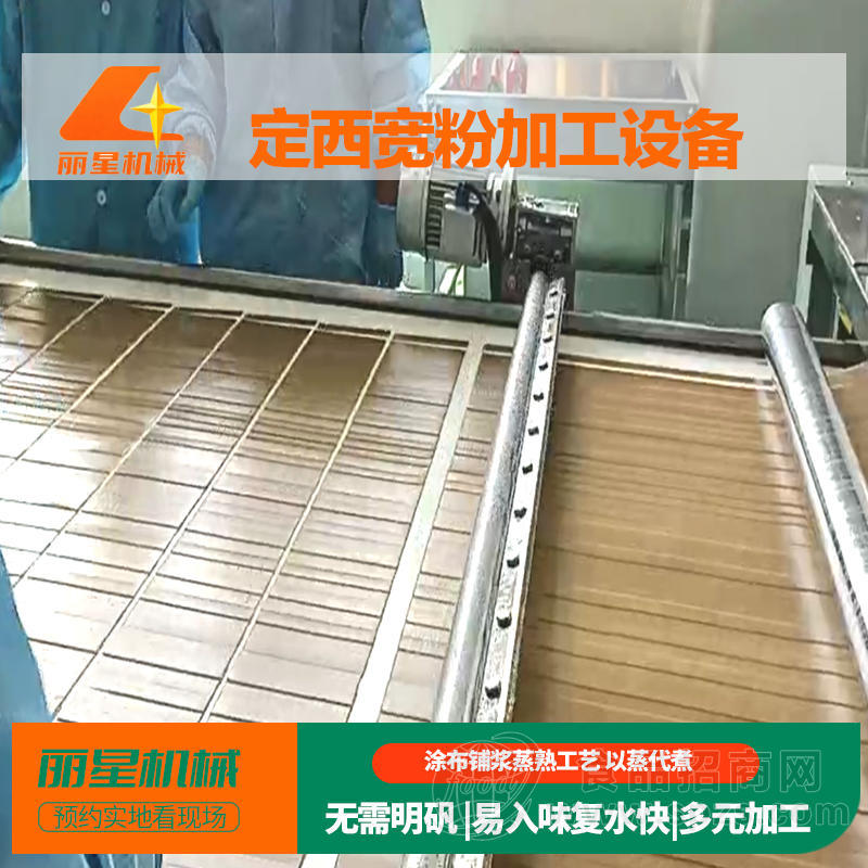丽星苕皮宽粉机 日产2-20吨多型号可选 多元化淀粉制品加工设备