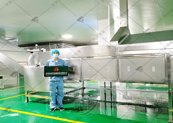 丽星直条粉丝设备 双螺旋电机斜齿轮减速机 运行稳定不易停机
