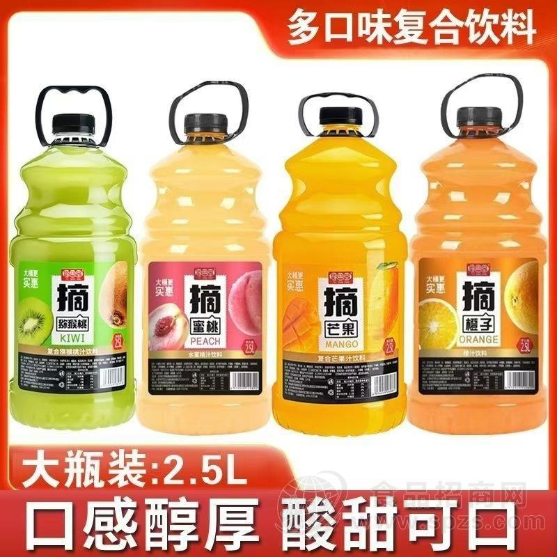 大瓶实惠装果味多口味复合果汁饮料2.5L