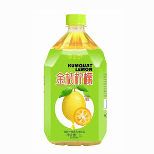 豫善堂金桔柠檬味风味饮料1L