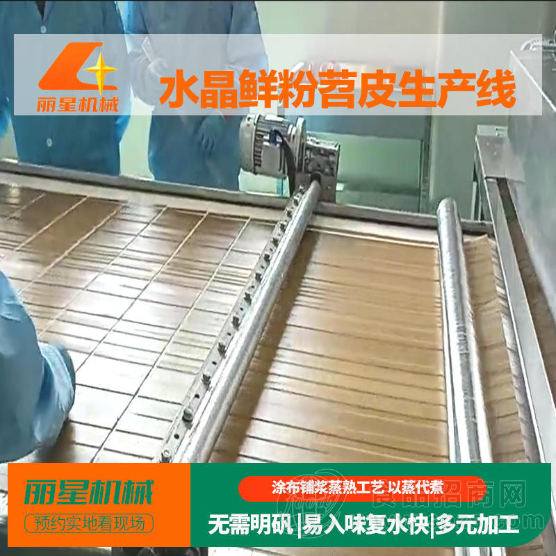 丽星源头工厂供应苕皮生产线 专注薯类淀粉深加工设备
