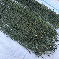 干菜干豆角烘干菜商超餐饮货源电商一件代发
