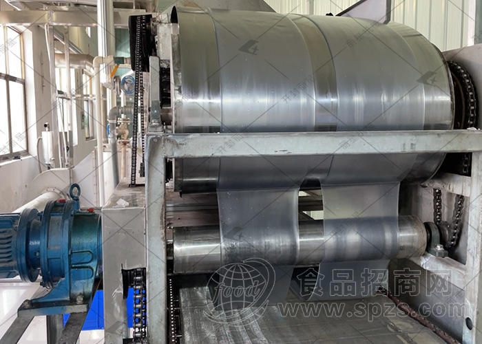 绿豆粉皮粉片生产线 适用于定西宽粉 口感爽滑 无添加剂 有韧性