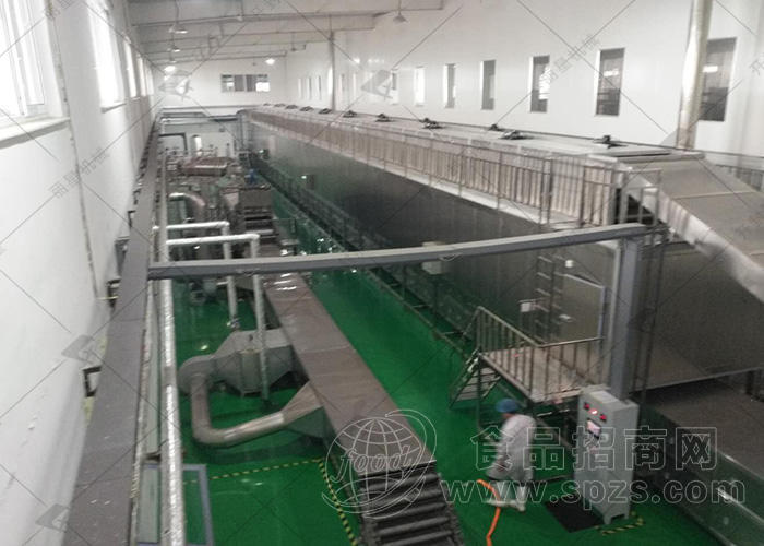 日产多吨全自动粉条生产线 涂布铺浆工艺 丽星机械厂