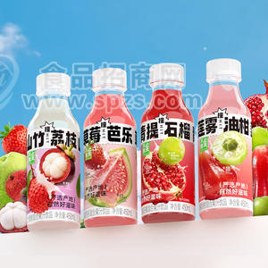 不止夏天混合果汁饮品450ml