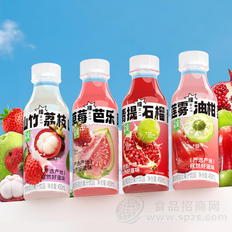 不止夏天混合果汁饮品450ml