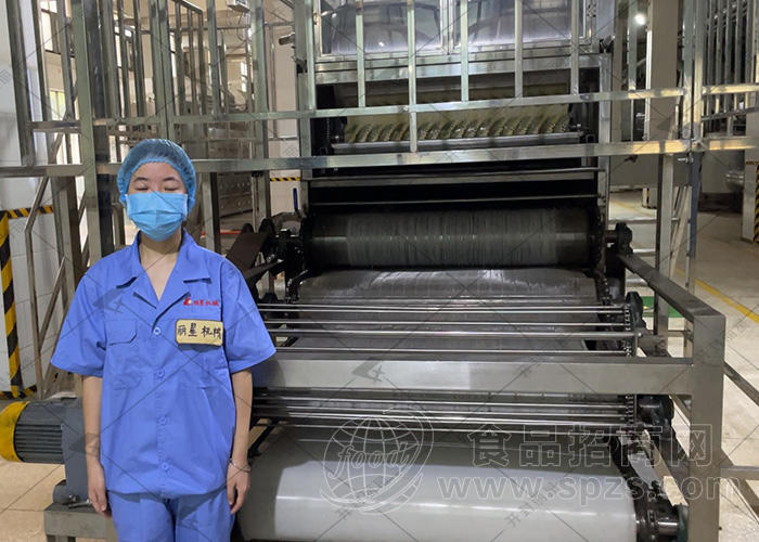 自动化无明矾粉条生产线  支持现场试机  免搓洗省人工