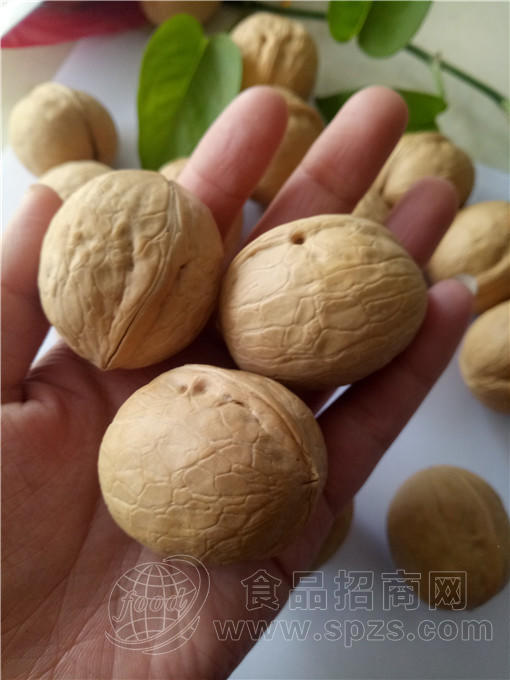 新上市新疆薄皮核桃产地出货价