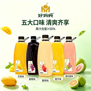 好妈炖五大口味水果味果汁饮料2L