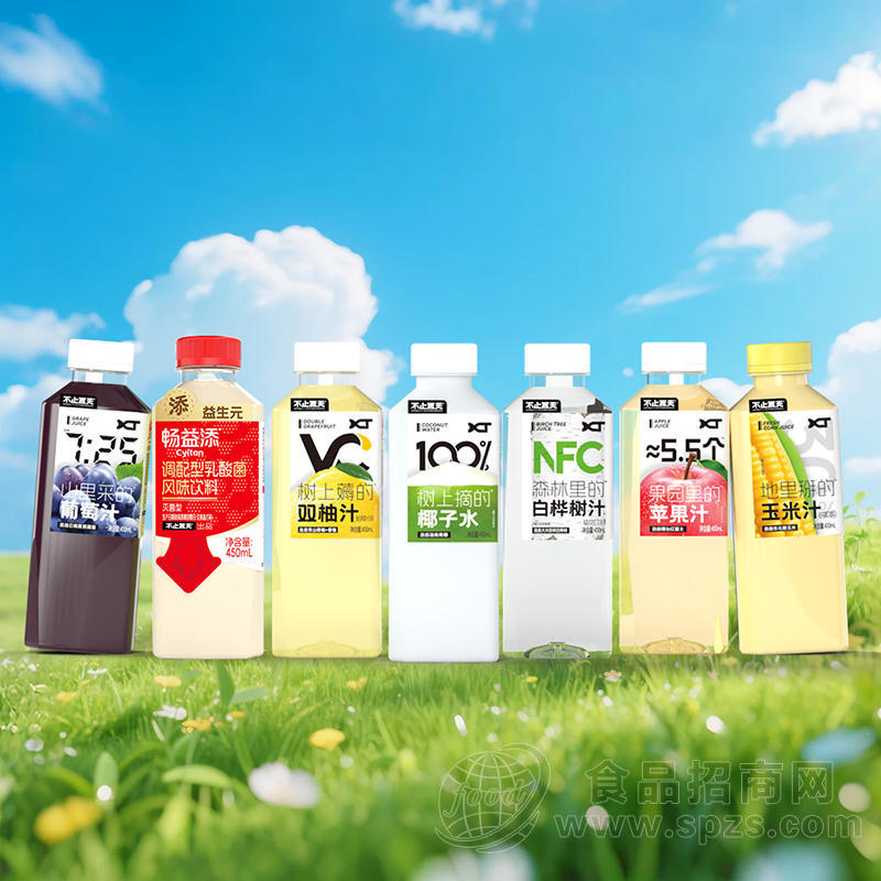 不止夏天小方瓶果汁饮料玉米汁白桦树汁双柚汁乳酸菌450ml