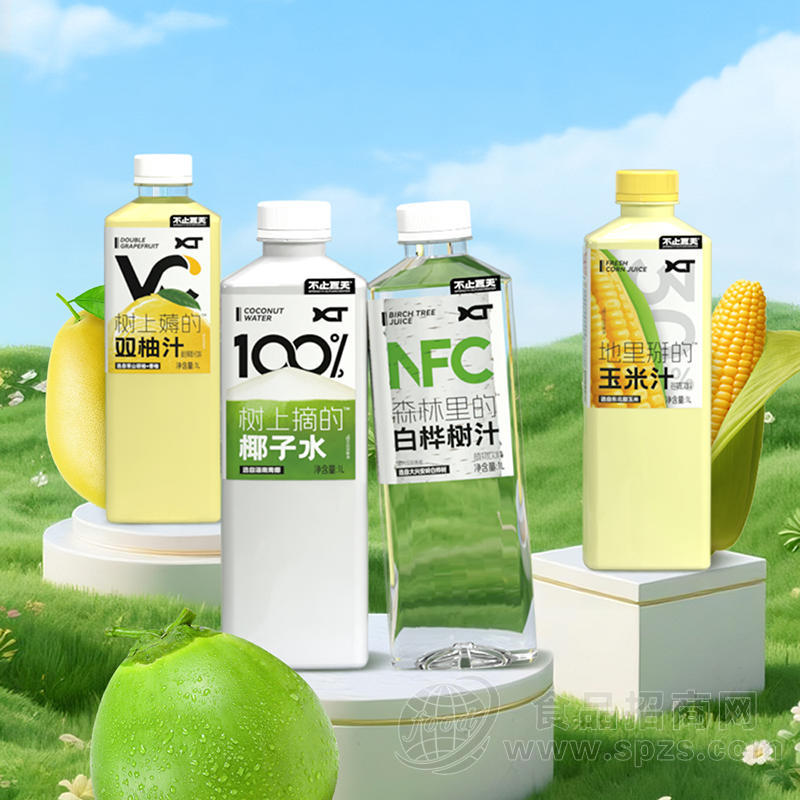 不止夏天小方瓶果汁饮料1L