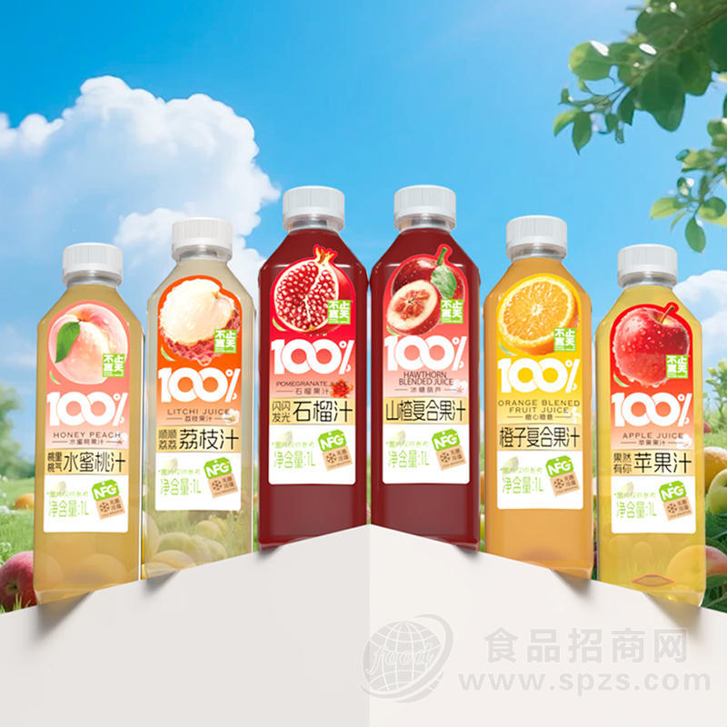 不止夏天1L百分百果汁饮料