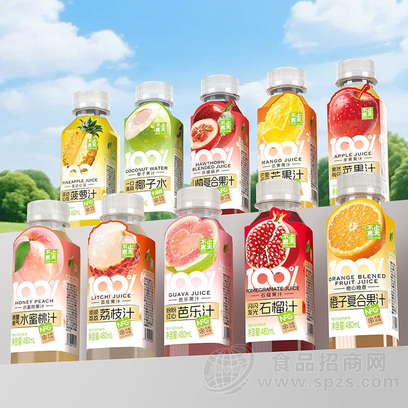 不止夏天百分百果汁%果汁饮料椰子水苹果汁山楂汁480ml