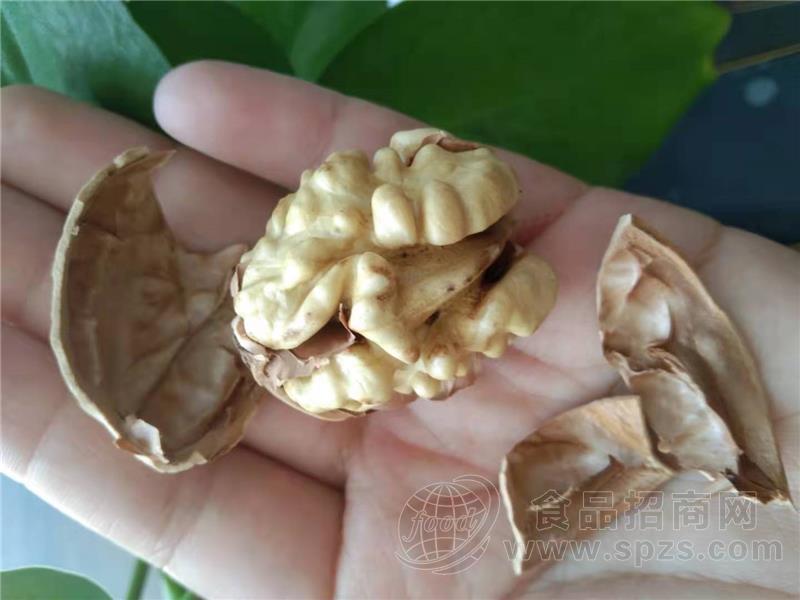 实力新疆核桃源头供应商联系电话